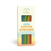 Reusable Sipping Straws: Rainbow