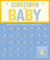 Countdown Calendar: Countdown to Baby!